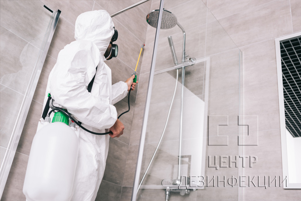 Санитарная обработка от тараканов в квартире  в Пушкино